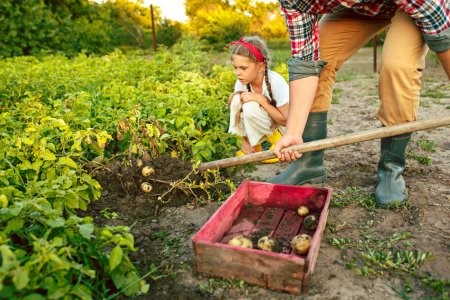 A importância da agricultura familiar e agroecológica