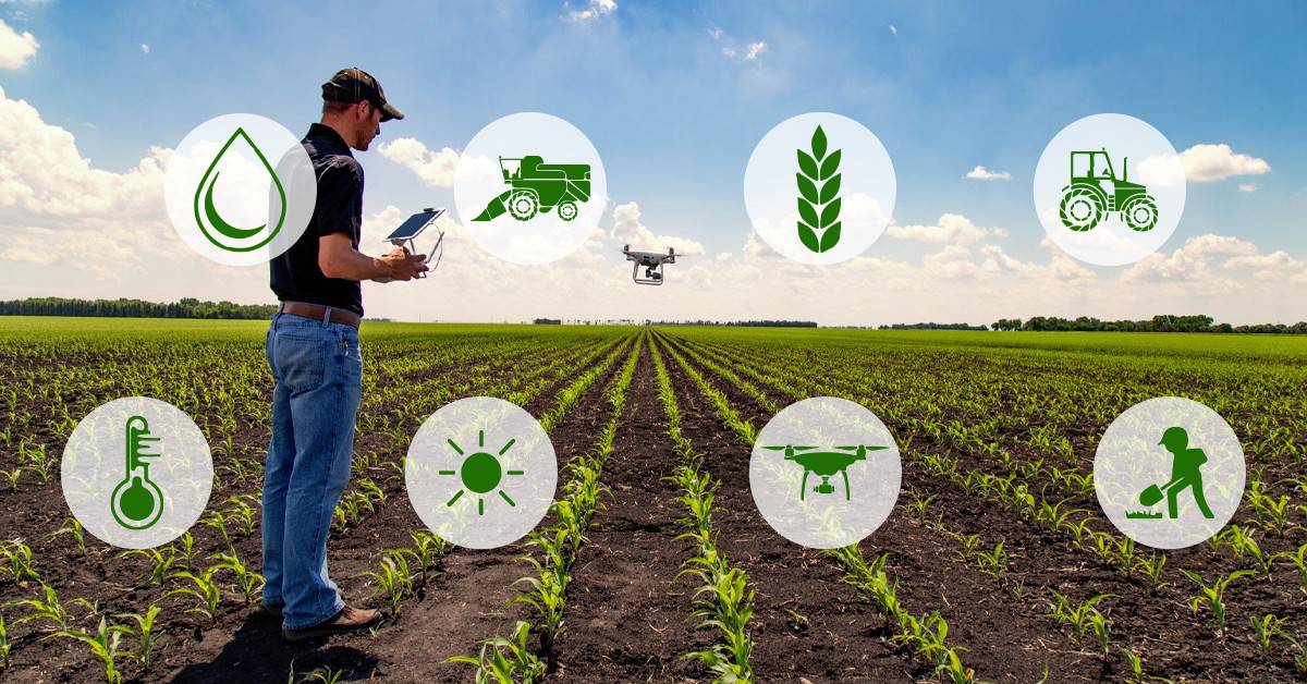 Novas tecnologias para a agricultura e segurança alimentar